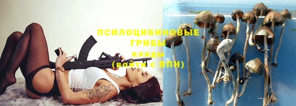 стафф Бронницы