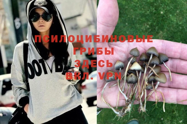 кокаин перу Богданович